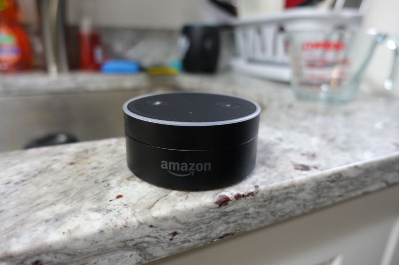 Amazon xác nhận việc loa thông minh Echo rò rỉ thông tin - Ảnh 1.