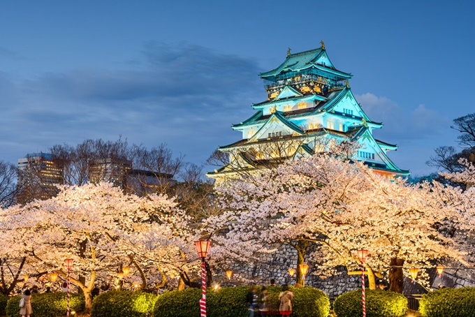 Những điểm ngắm hoa anh đào ban đêm đẹp nhất Nhật Bản