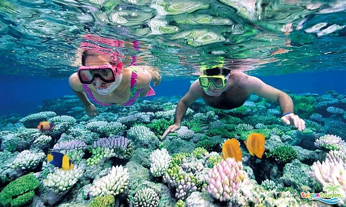 Đảo ngọc dải san hô, hải quỳ độc đáo cho du khách khám phá và trải nghiệm.